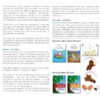 Girafe'O Cartes – Image 2