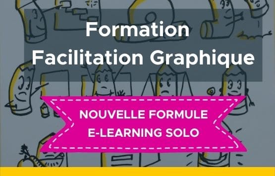 formation-en-ligne-nouvelle-formule-SOLO