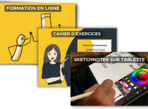 Pack Facilitation Graphique (Expert)