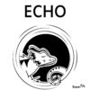Echo l'icebreaker qui fait résonner vosbesoins
